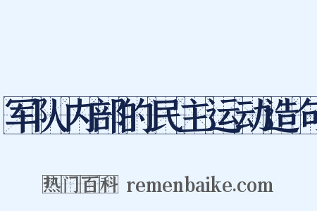 军队内部的民主运动造句是什么意思的图片